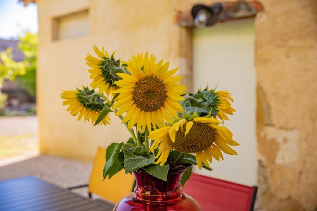 Domaine De Laplan Bed & Breakfast Cezan Bagian luar foto